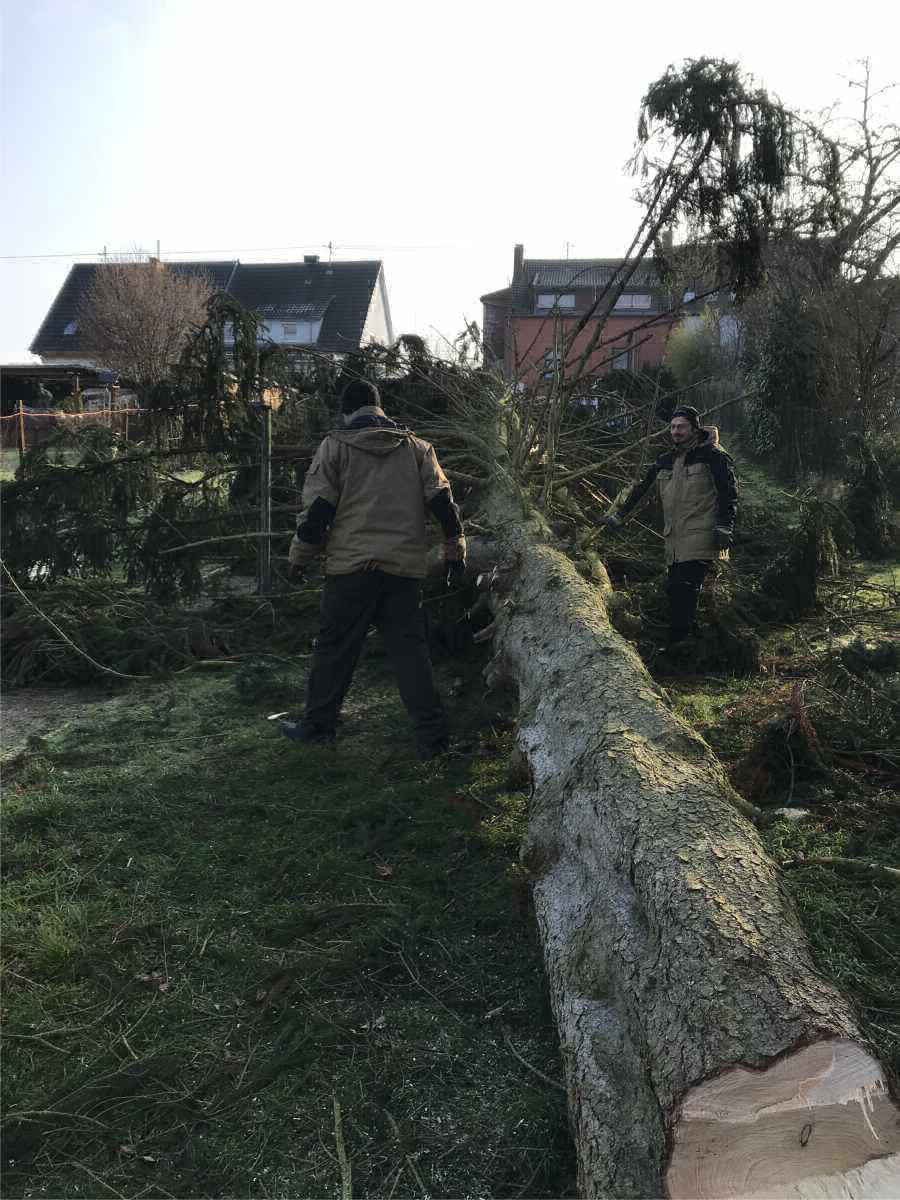 Galerie Hausmeisterservice 123 Saarbrücken