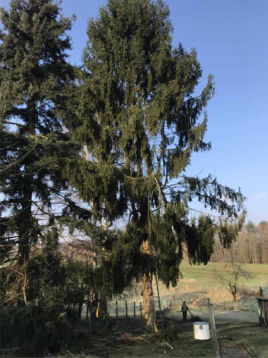 Galerie Hausmeisterservice 123 Saarbrücken